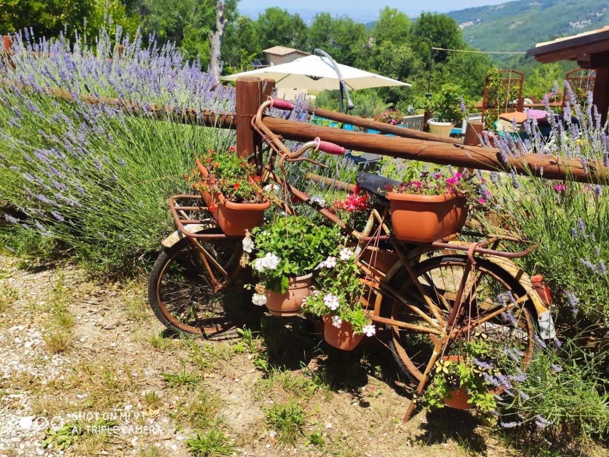 Country House Antiche Dimore Abbateggio Exterior foto