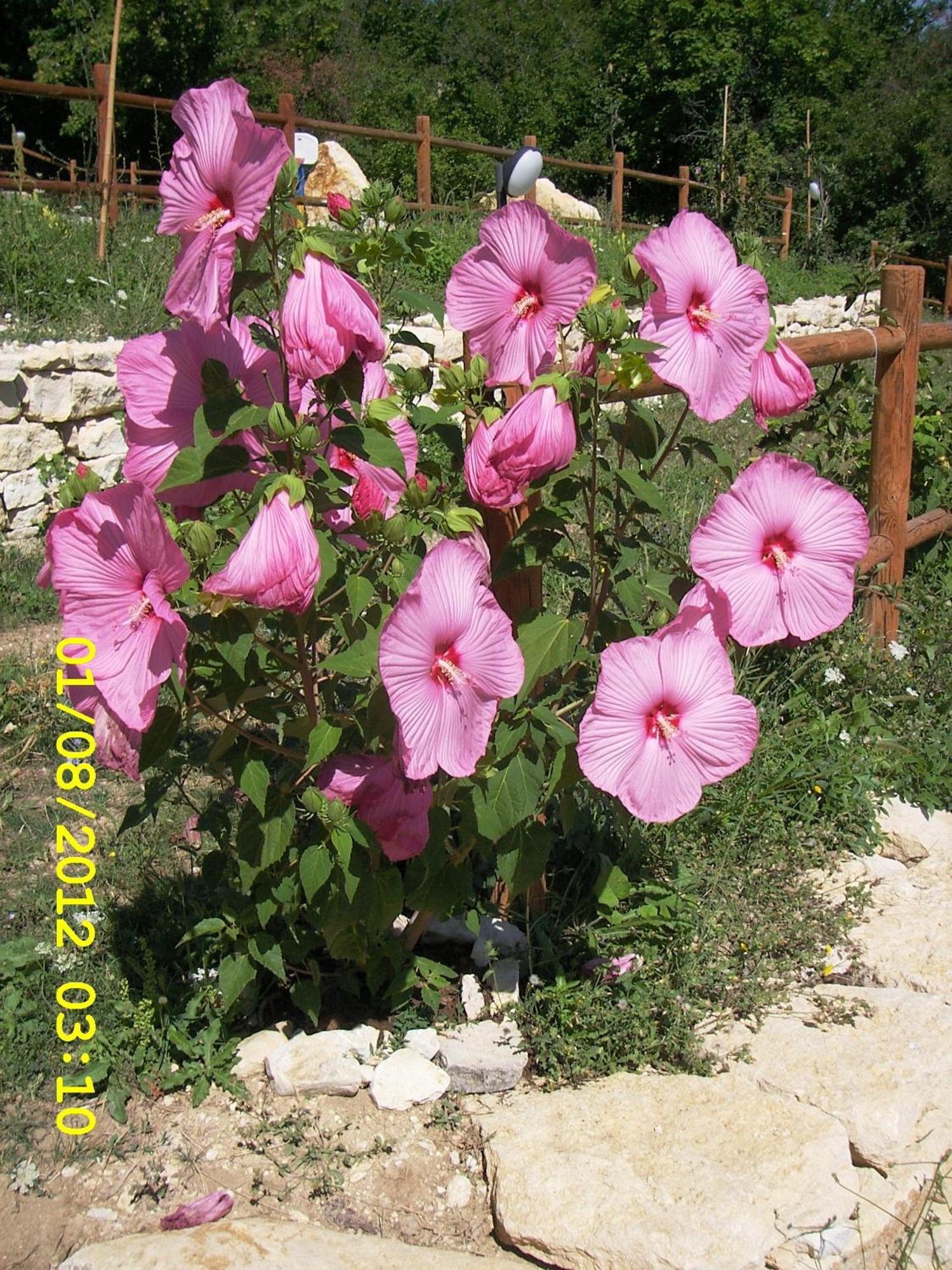 Country House Antiche Dimore Abbateggio Exterior foto