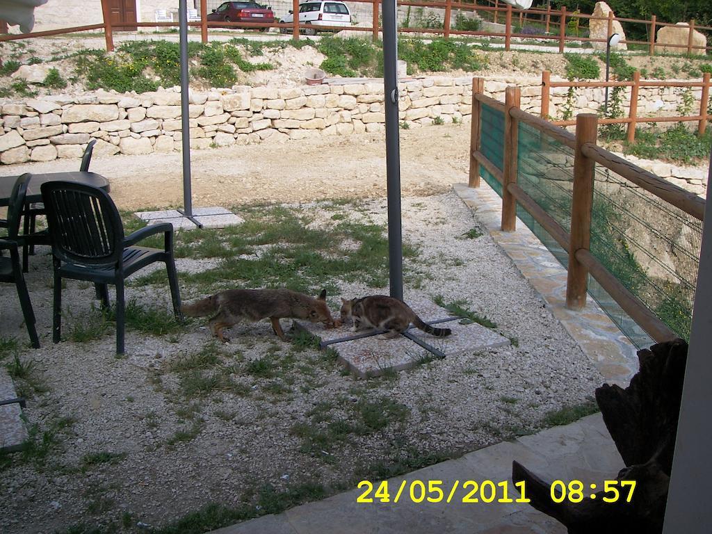 Country House Antiche Dimore Abbateggio Exterior foto